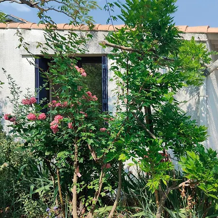 Privee Dans Maison En Garrigue *